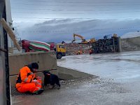 REDOG Training